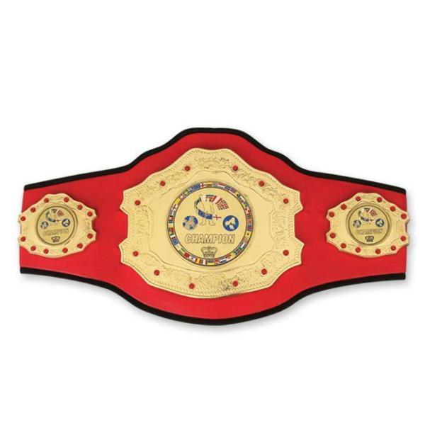 Champion brand belt hotsell